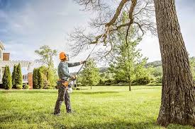 Best Emergency Tree Removal  in West Park, CA